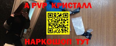 гидра Славгород