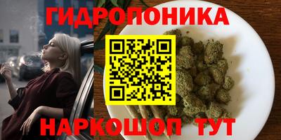 эйфоретик Ставрополь