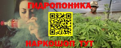 гидра Славгород
