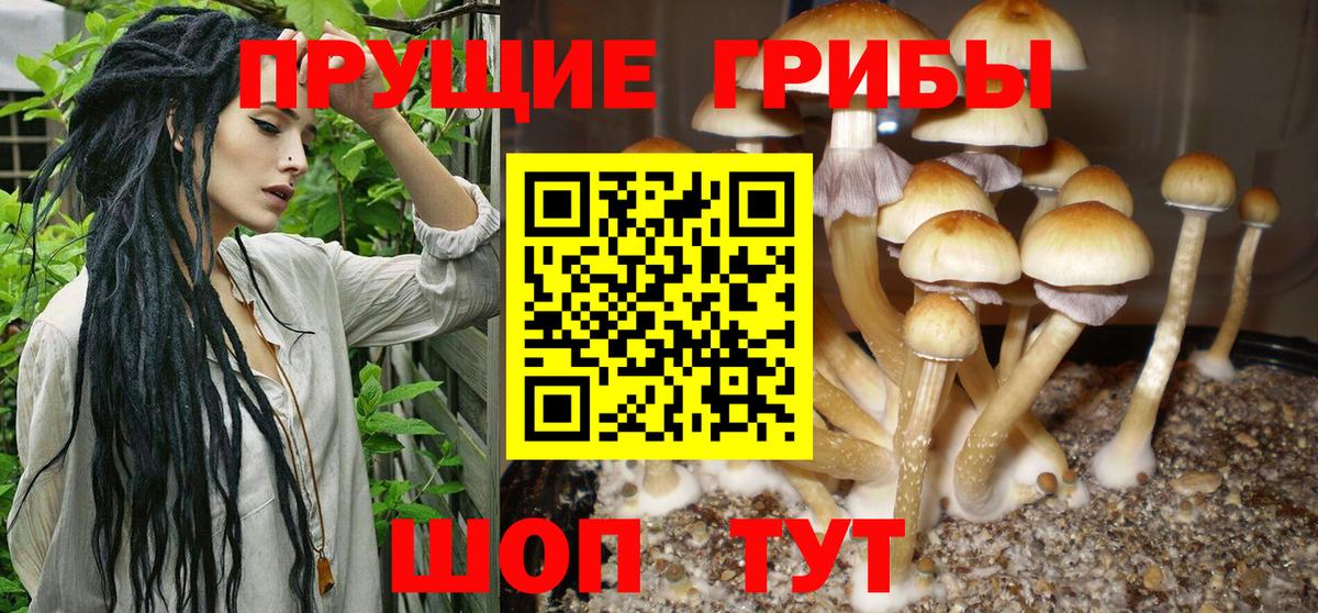 Галлюциногенные грибы Magic Shrooms  Псилоцибиновые грибы Magic Shrooms  Новочеркасск  Вход с VPN 